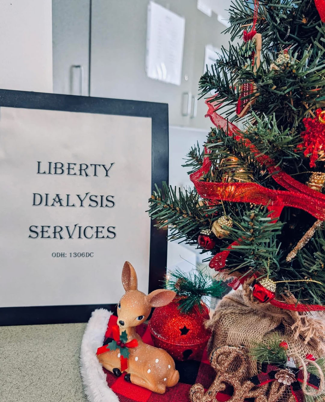 Liberty Dialysis Services